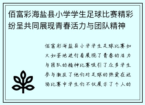 佰富彩海盐县小学学生足球比赛精彩纷呈共同展现青春活力与团队精神